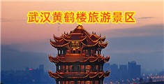 肉棒直播教室