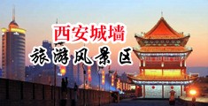 美艹小逼中国陕西-西安城墙旅游风景区