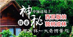 大鸡巴操小逼黄片